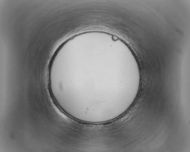 X0000111181519200907221038