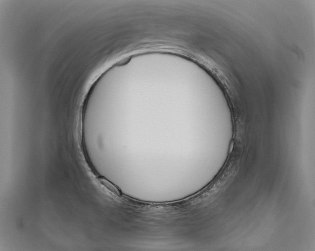 X0000111181520200907221038