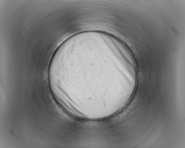 X0000111181521200907221038