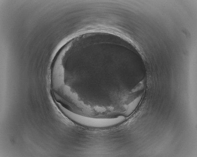 X0000111181522200907221038