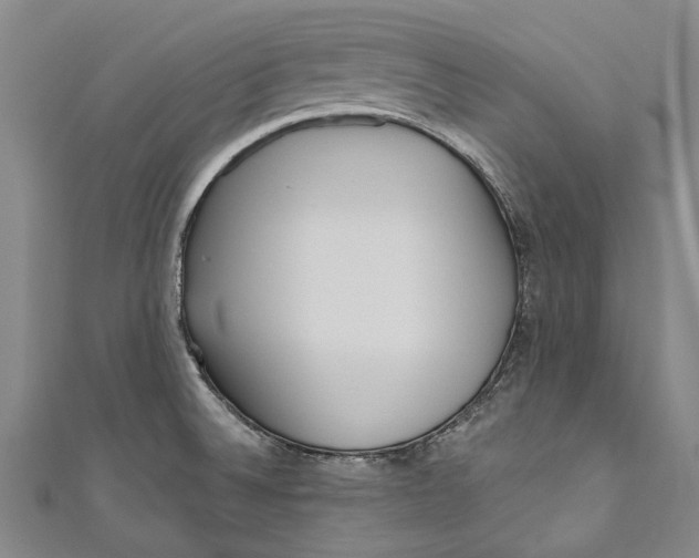 X0000111181524200907221038