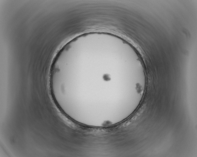 X0000111181525200907221038