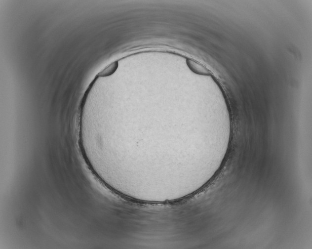 X0000111181526200907221038