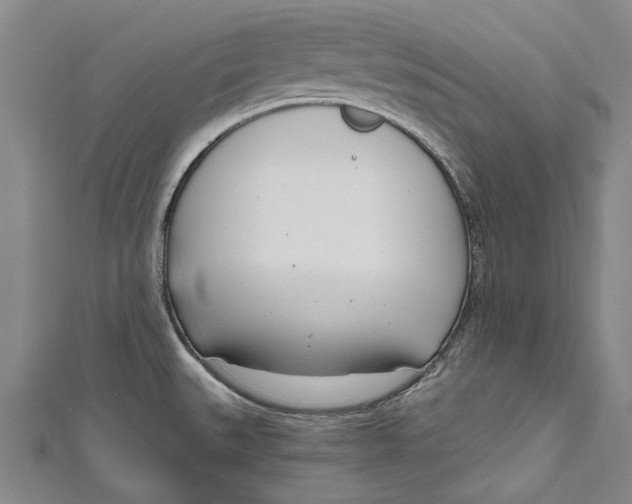 X0000111181527200907221038