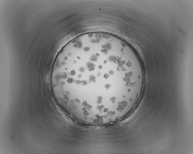 X0000111181529200907221038