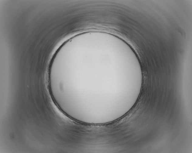 X0000111181531200907221038