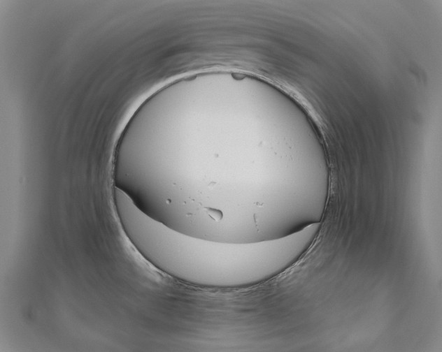 X0000111181532200907221038