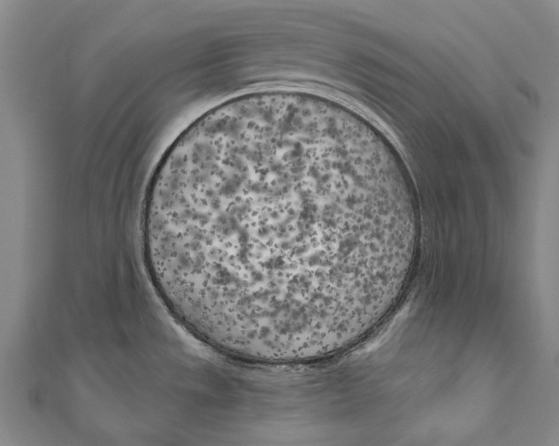 X0000111181533200907221038