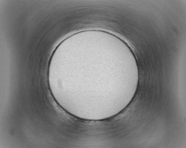 X0000111181534200907221038