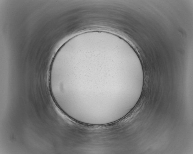 X0000111181535200907221038