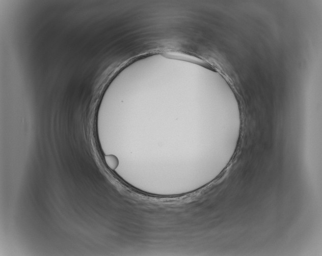 X0000111180001200907291152