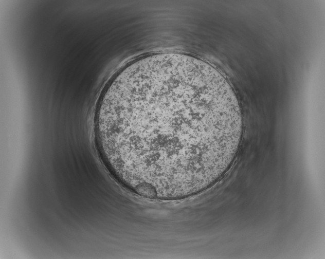 X0000111180002200907291152