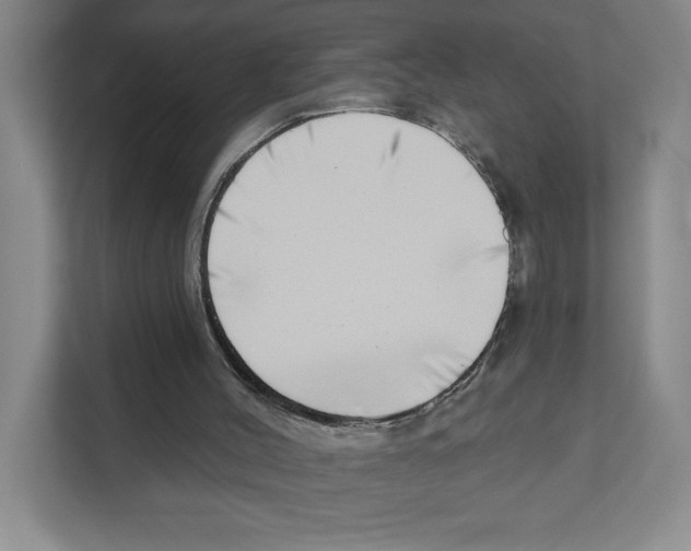 X0000111180004200907291152