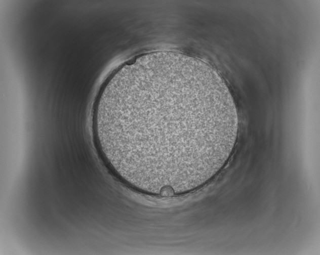 X0000111180006200907291152