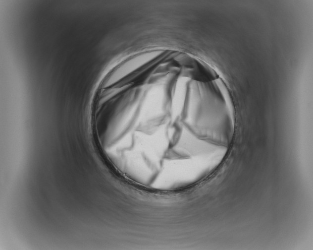 X0000111180008200907291152