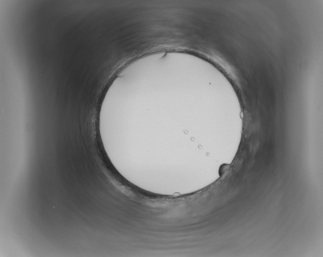 X0000111180009200907291152