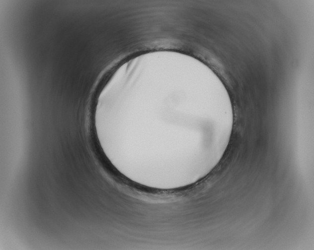 X0000111180012200907291152