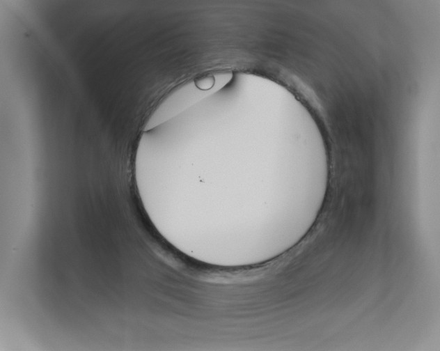 X0000111180017200907291152