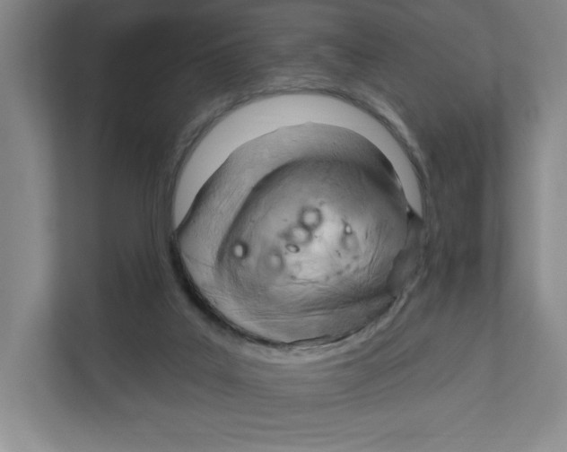 X0000111180019200907291152