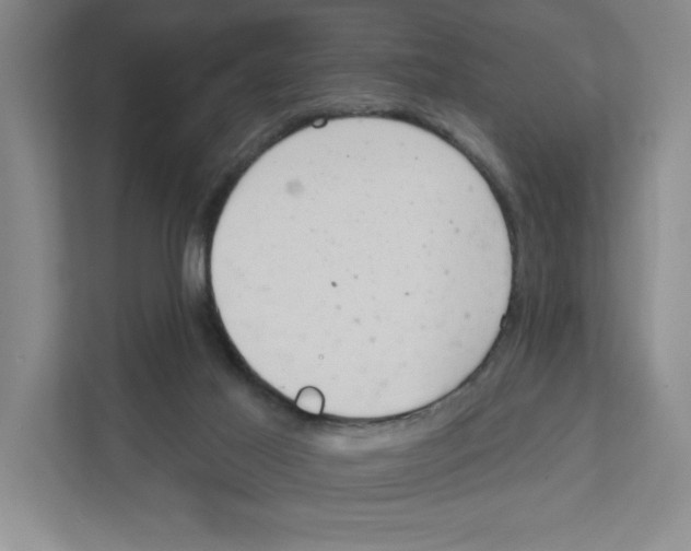 X0000111180021200907291152