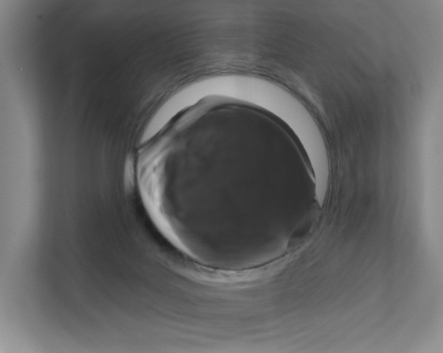 X0000111180027200907291152