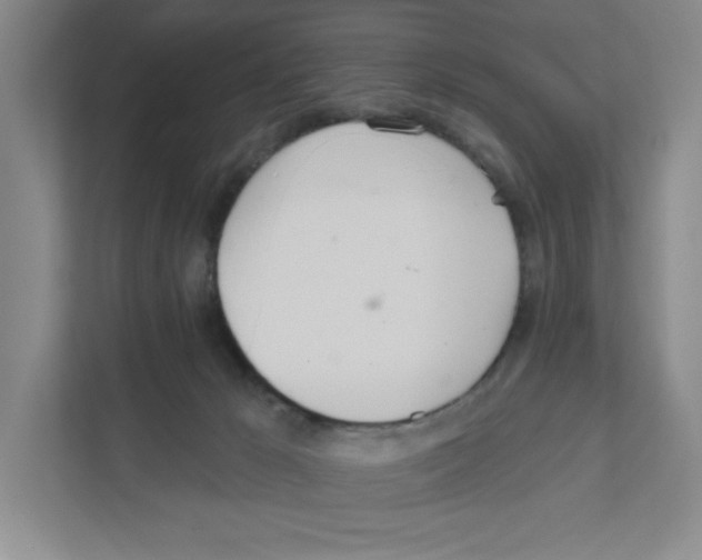 X0000111180029200907291152