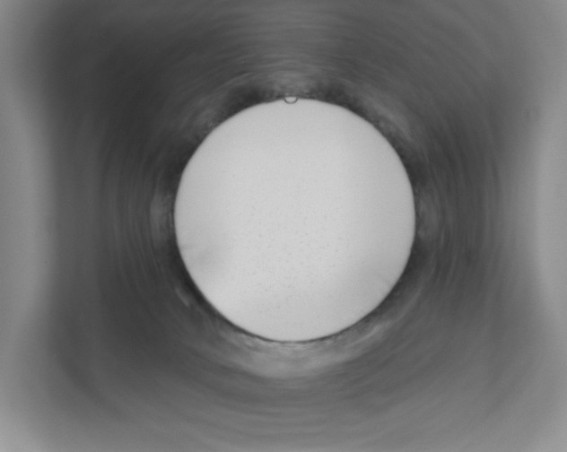 X0000111180034200907291152