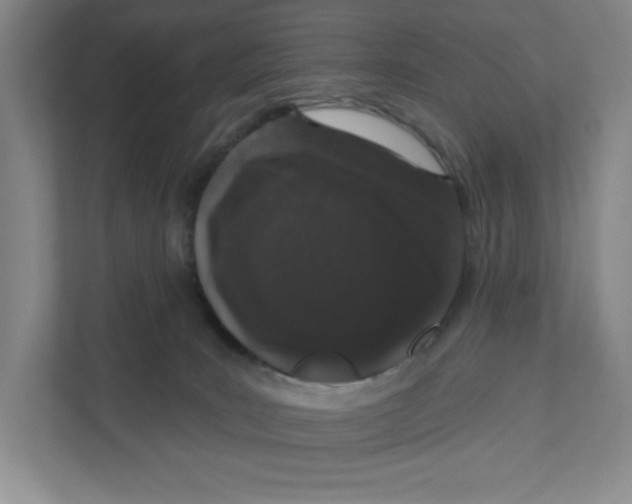 X0000111180035200907291152