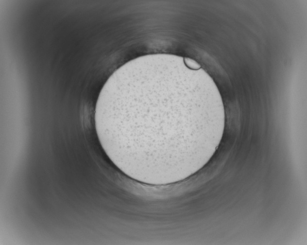 X0000111180038200907291152