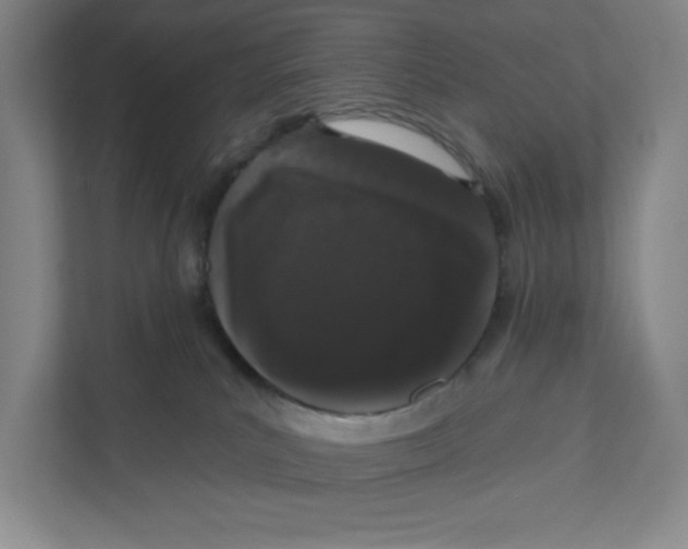 X0000111180039200907291152