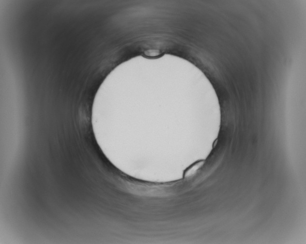 X0000111180040200907291152