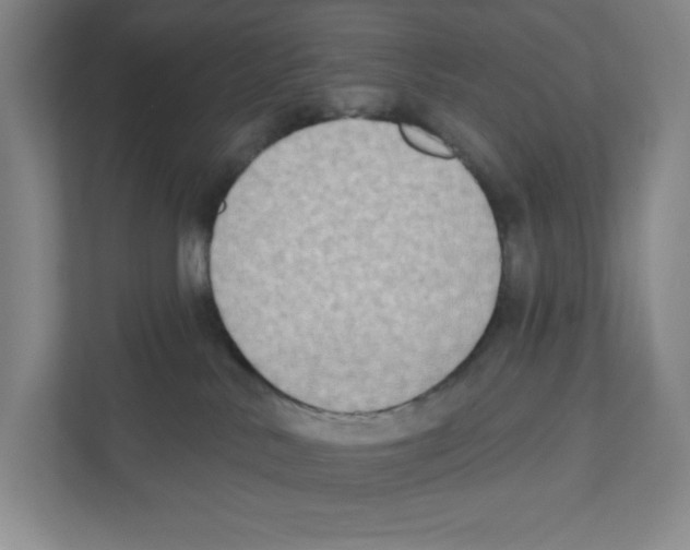 X0000111180042200907291152