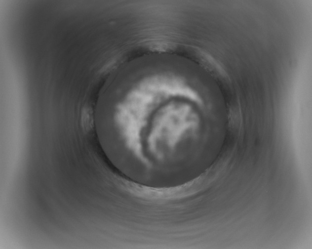 X0000111180043200907291152