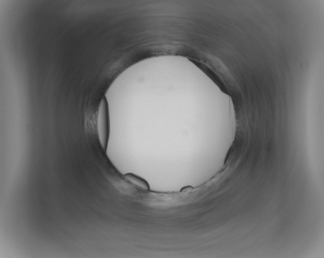 X0000111180045200907291152