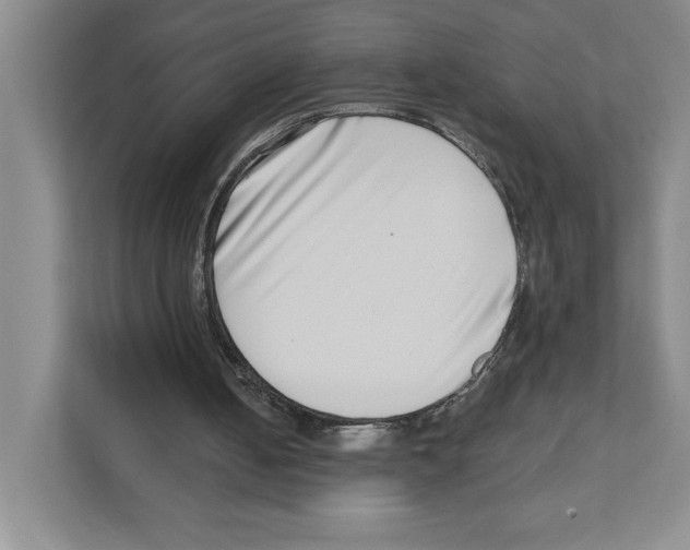 X0000111180050200907291151