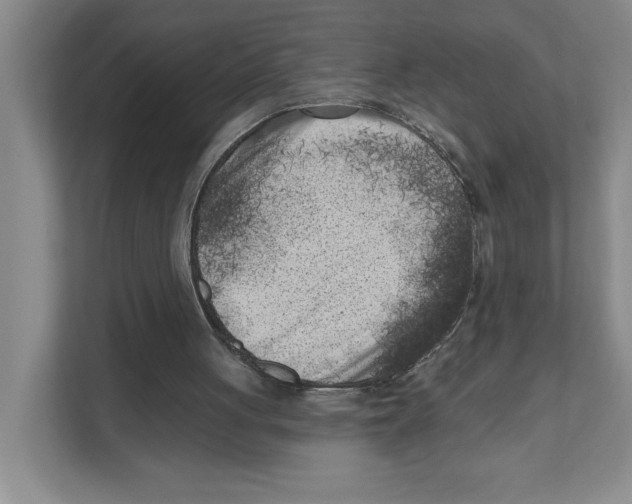 X0000111180051200907291151