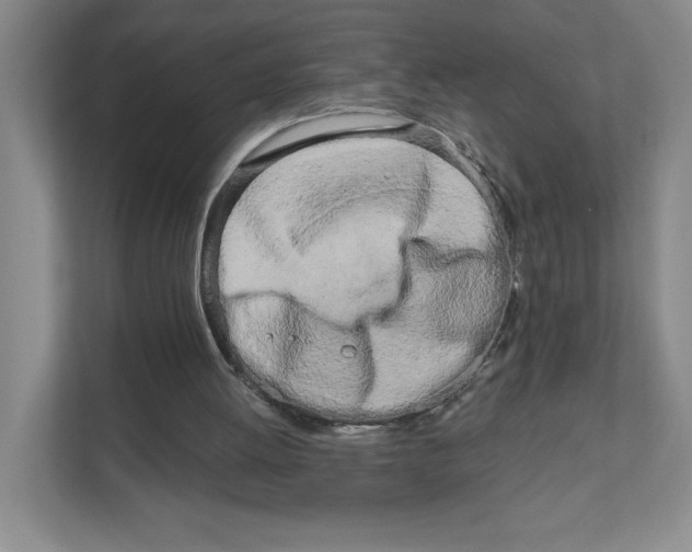 X0000111180052200907291151