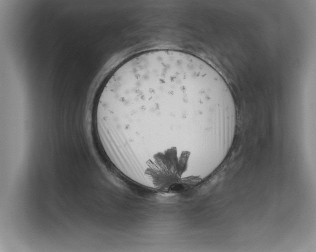 X0000111180055200907291151