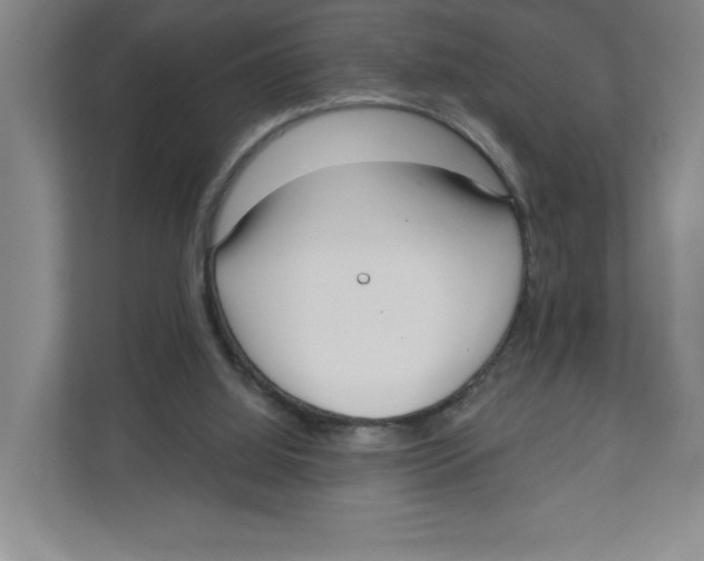 X0000111180060200907291151