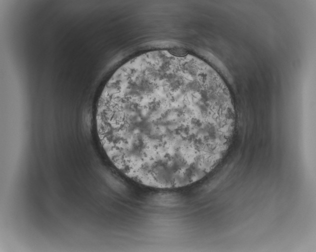 X0000111180063200907291151