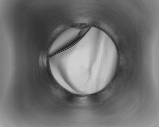 X0000111180068200907291151