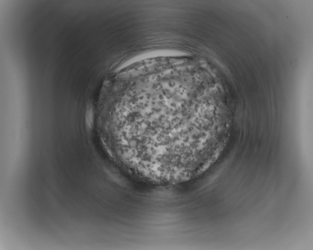 X0000111180076200907291152