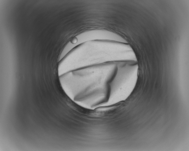 X0000111180084200907291152