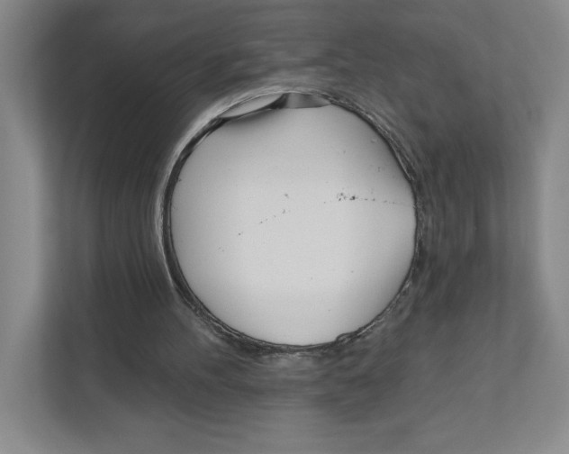 X0000111180100200907291151