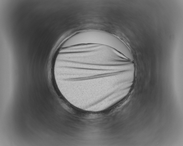 X0000111180101200907291151