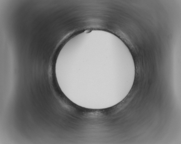 X0000111180112200907291151