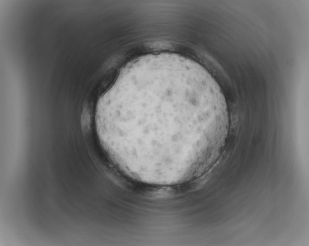 X0000111180124200907291151