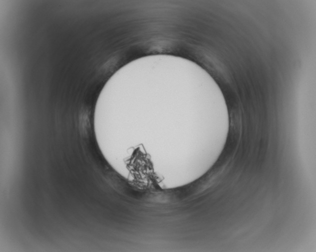 X0000111180127200907291151