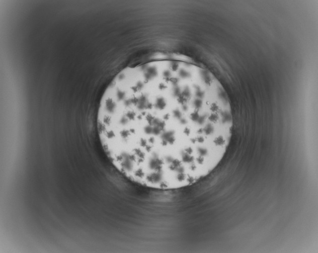 X0000111180131200907291151