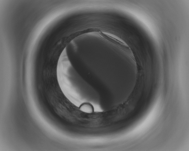 X0000111180143200907291151